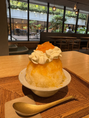 春名(はるな)