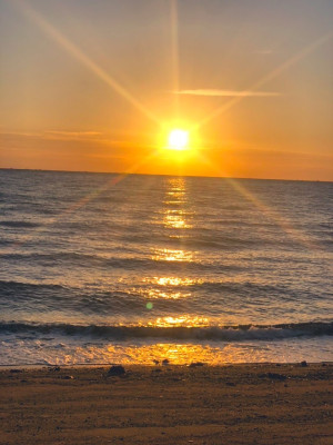 愛乃（あいの）