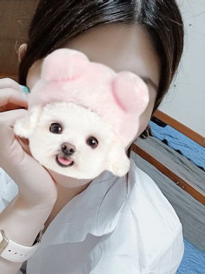 ゆう